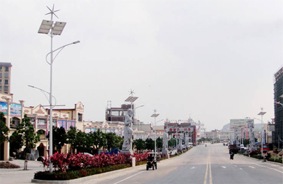 太阳能风光互补路灯 正翔2306应用图2