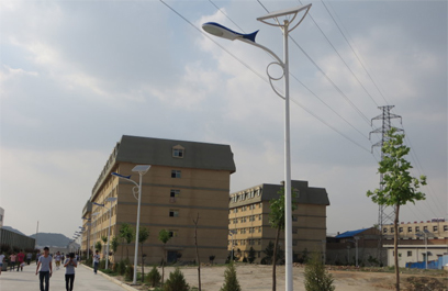 新农村太阳能路灯 正翔2104应用图3