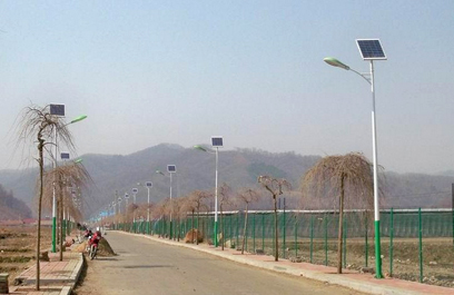 新农村太阳能路灯 正翔2105应用图3