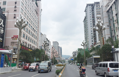 玉兰灯 正翔2601-应用图 (4)