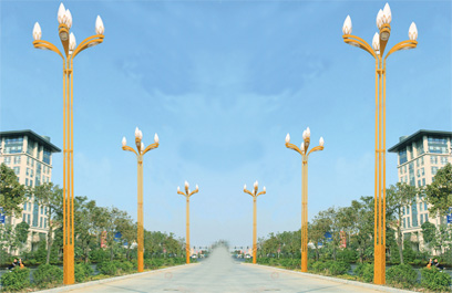 正翔 玉兰灯2602应用图 (3)