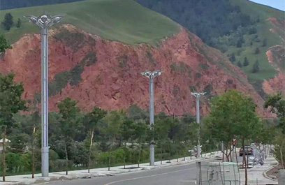 玉兰灯 正翔2603应用图 (1)