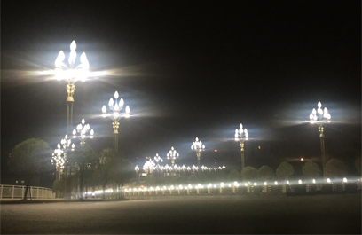 玉兰灯-正翔2607 (9)