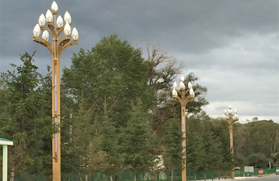 玉兰灯-正翔2608 (3)