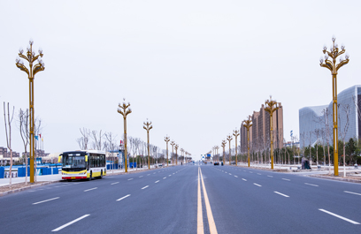 玉兰灯-正翔2608 (5)