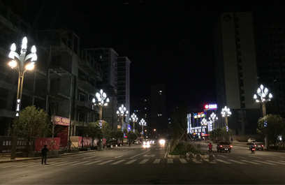 玉兰灯-正翔2609 (5)