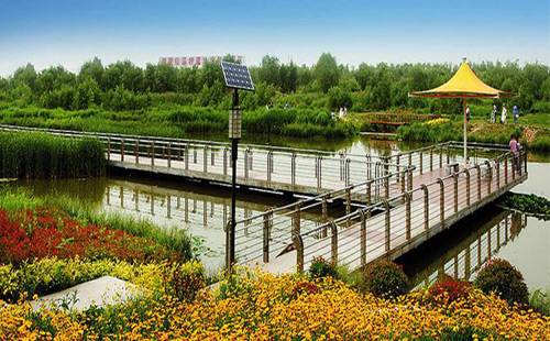 富含民族文化特色的中式庭院灯 正翔照明广州白云湖项目