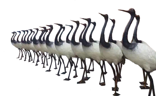 正翔照明路灯厂-LED景观灯厂家案例