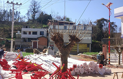 新农村太阳能路灯 正翔2109应用图4