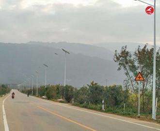 LED太阳能路灯 正翔2011应用图2