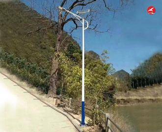 LED太阳能路灯 正翔2008应用图2