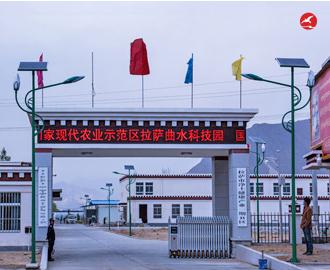 LED太阳能路灯 正翔2007应用图1