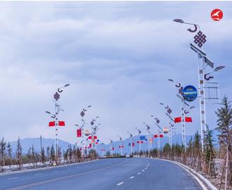 LED太阳能路灯 正翔2007应用图2