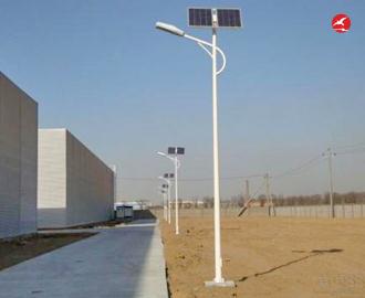 新农村太阳能路灯 正翔2109应用图1