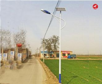 新农村太阳能路灯 正翔2109应用图2