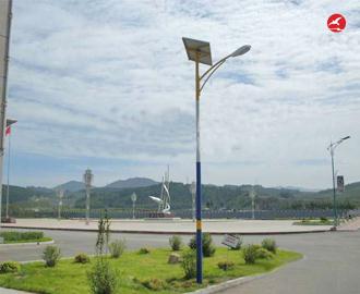 新农村太阳能路灯 正翔2109应用图3