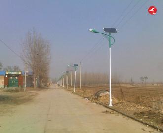 新农村太阳能路灯 正翔2104应用图2