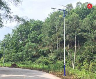 新农村太阳能路灯 正翔2103应用图2