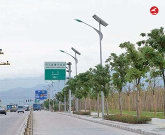 新农村太阳能路灯 正翔2101应用图1