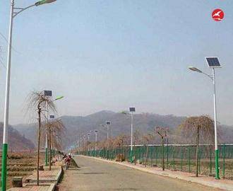 新农村太阳能路灯 正翔2101应用图2