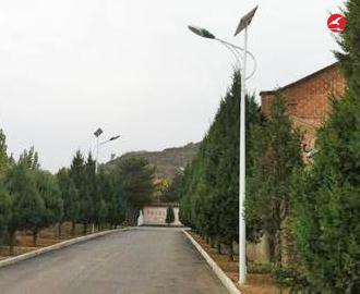 新农村太阳能路灯 正翔2106应用图1