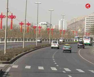 LED中国结路灯 正翔1204应用图3