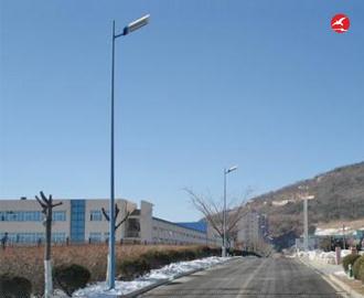 LED路灯 正翔2405应用图2