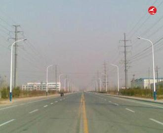 LED路灯 正翔2406应用图3