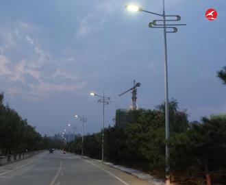 LED路灯头 正翔2905应用图2