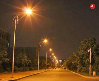 LED路灯头 正翔2908应用图1