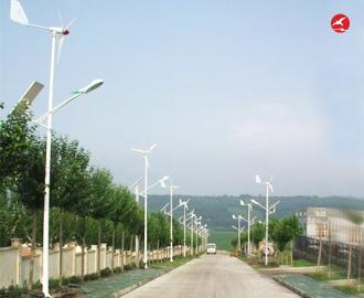 太阳能风光互补路灯 正翔2312应用图2