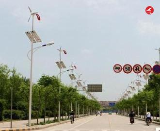 太阳能风光互补路灯 正翔2303应用图2