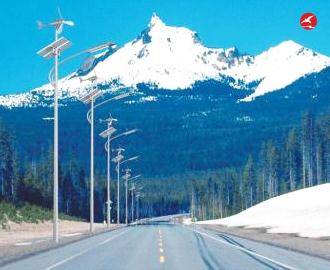 太阳能风光互补路灯 正翔2304应用图2