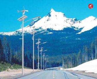 太阳能风光互补路灯 正翔2305应用图1