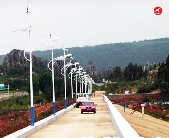 太阳能风光互补路灯 正翔2305应用图2