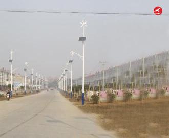 太阳能风光互补路灯 正翔2306应用图2