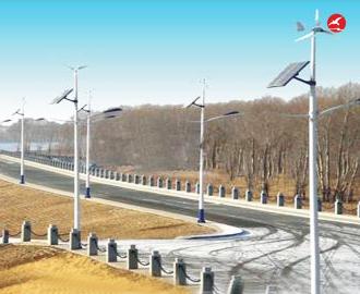 太阳能风光互补路灯 正翔2308应用图1