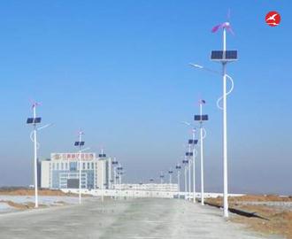 太阳能风光互补路灯 正翔2308应用图2