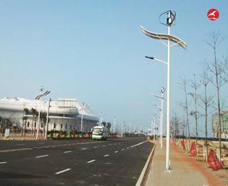 太阳能风光互补路灯 正翔2308应用图3