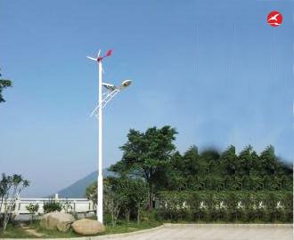 太阳能风光互补路灯 正翔2310应用图1