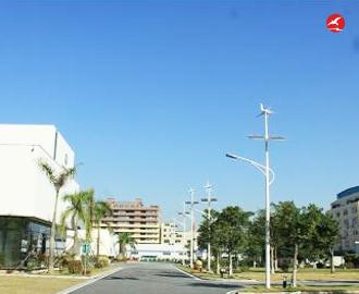 太阳能风光互补路灯 正翔2310应用图2