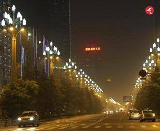 玉兰灯 正翔2607应用图2