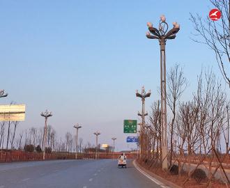 玉兰灯 正翔2609应用图1