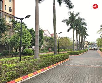 现代庭院灯 正翔3503应用图3