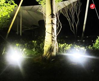 LED投光灯 正翔4010应用图2