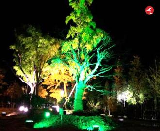 LED投光灯 正翔4010应用图3