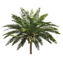 仿真树 正翔8805详情图1