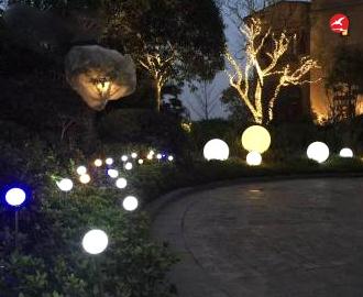 LED芦苇灯 正翔9201应用图1