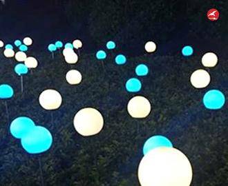 LED芦苇灯 正翔9201应用图2