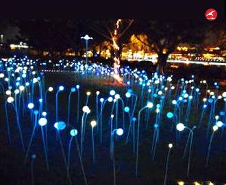 LED芦苇灯 正翔9201应用图3